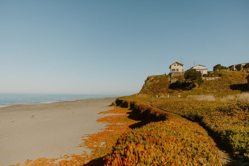 Photo of houses on a beach